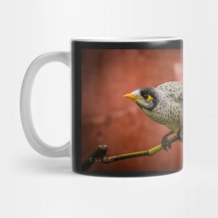 Noisy Miner (Manorina melanocephala) Mug